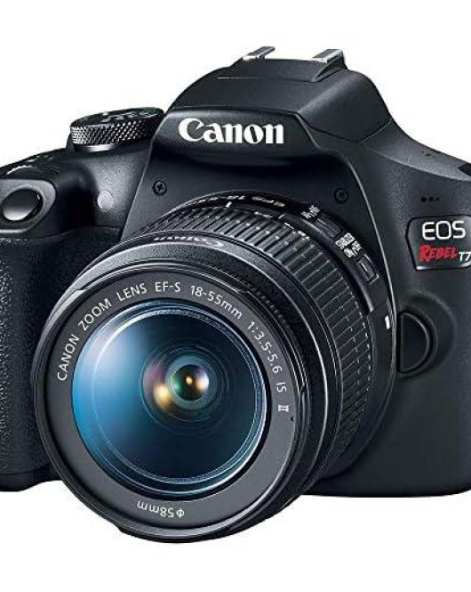 Canon EOS Rebel T7 DSLR Camera with EF-S 18-55mm f/3.5-5.6 II Lens & Accessory Bundle – 24.1MP APS-C DSLR Camera with Full HD Video
