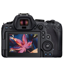 Canon EOS R6 Mark II Full-Frame Mirrorless Camera Bundle with Essentials Kit – 24.2MP, 4K 60p Video, Dual Pixel CMOS AF II